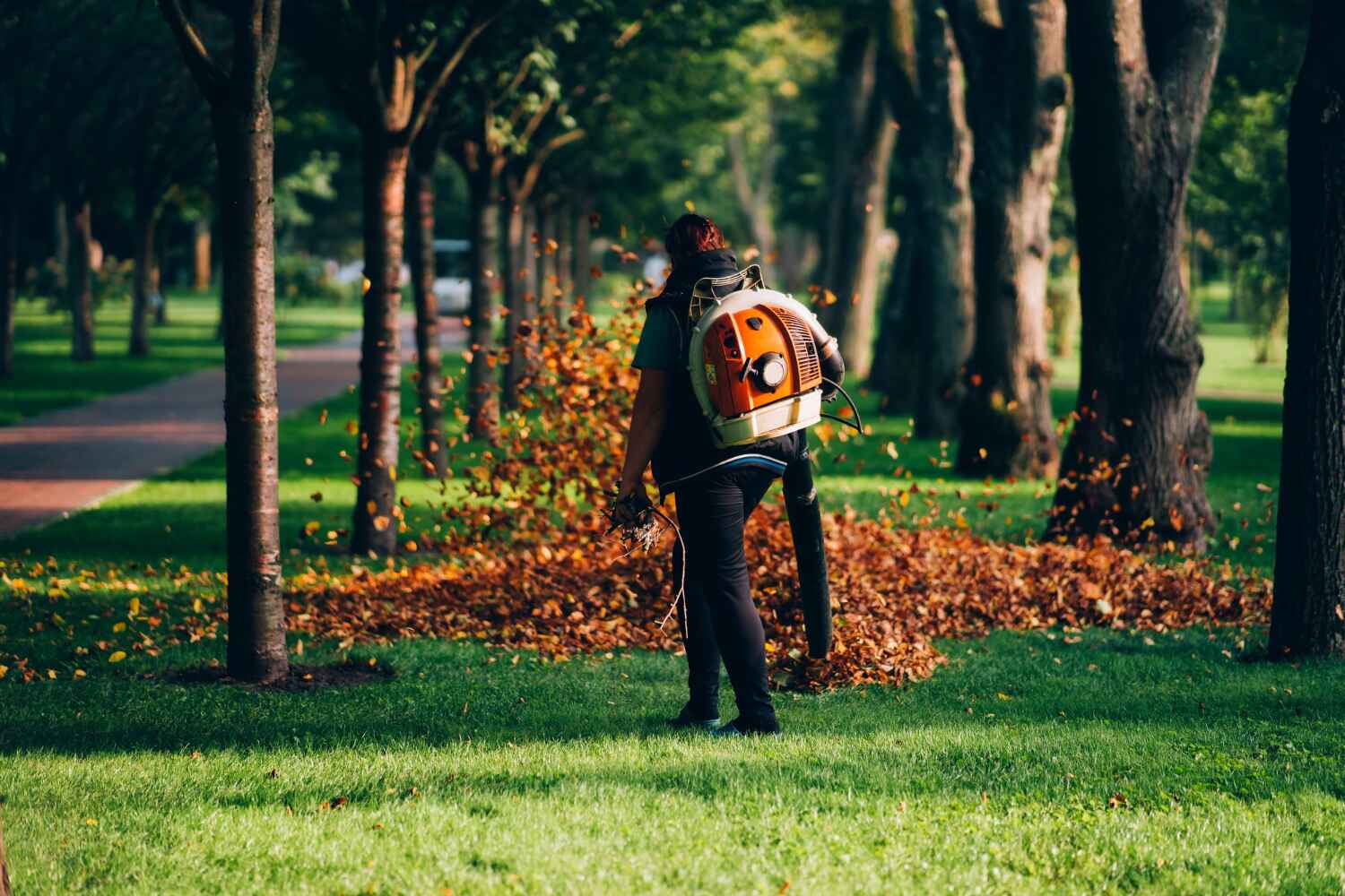 Best Local Tree Services  in Weatherby Lake, MO